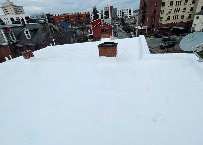 Commercial Roof Types